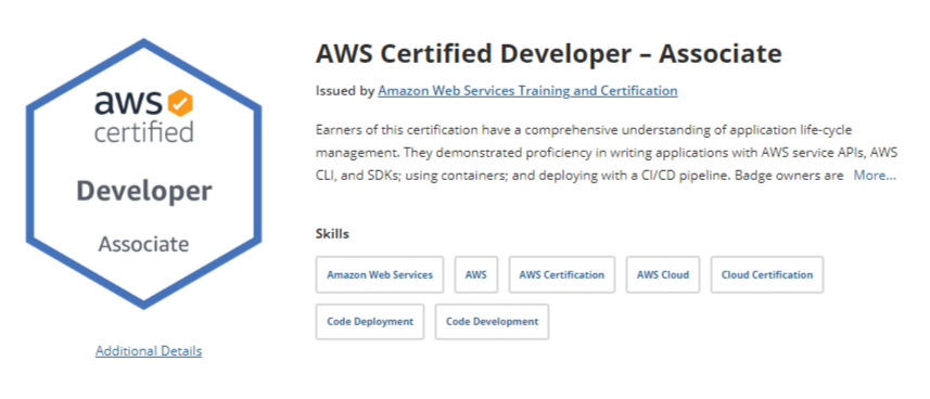 aws developer